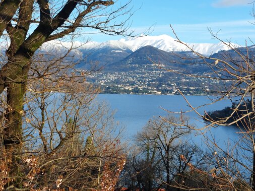 20240311_074714.jpeg 20240311_074714.jpeg