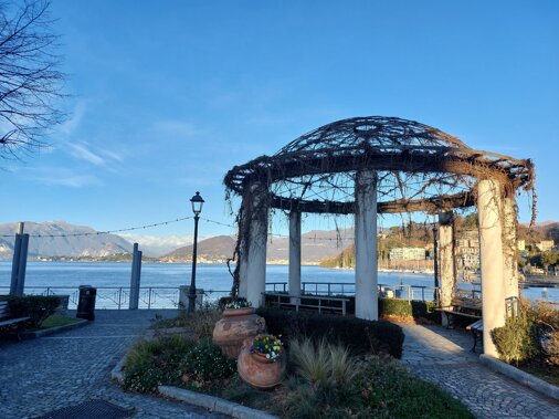 20231224_090309.jpeg 20231224_090309.jpeg