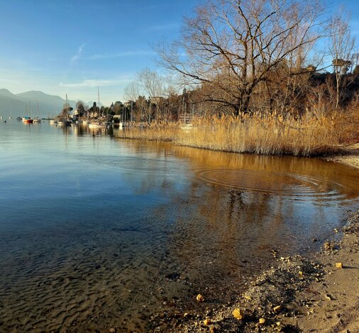 20240204_164644.jpeg 20240204_164644.jpeg