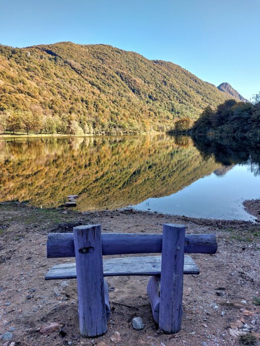 20231027_145447.jpeg 20231027_145447.jpeg