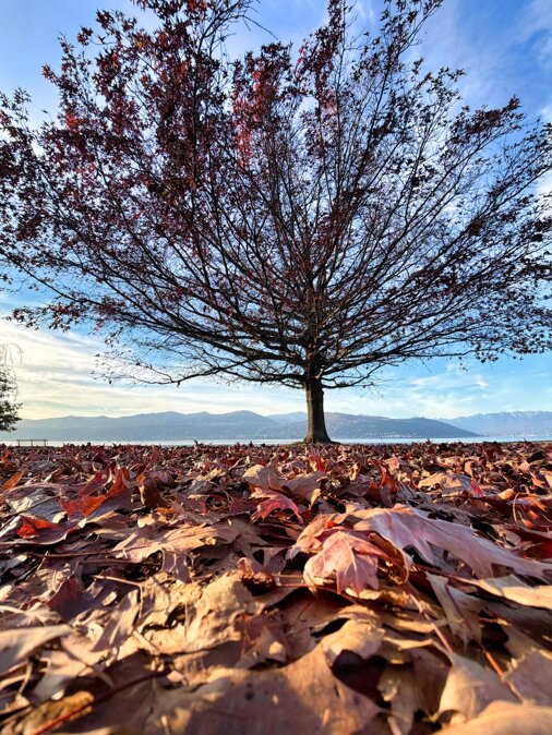 whatsapp image 2025-12-22 at 23.13.00 (1).jpeg