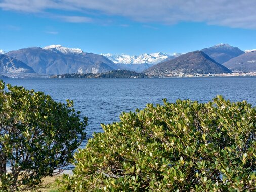 20231206_120810.jpeg 20231206_120810.jpeg