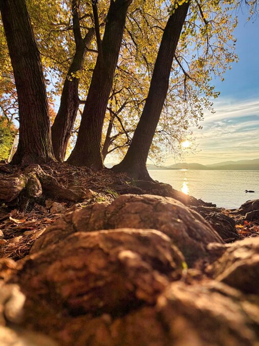 whatsapp image 2025-12-22 at 23.13.00 (2).jpeg