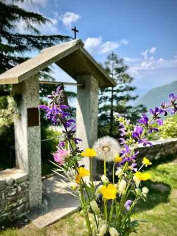 whatsapp image 2025-12-22 at 23.13.07 (4).jpeg