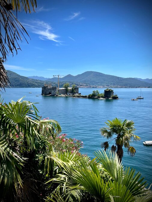 whatsapp image 2025-12-22 at 23.13.02.jpeg whatsapp image 2025-12-22 at 23.13.02.jpeg