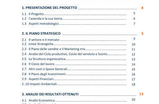 immagine%20business%20plan_3 immagine%20business%20plan_3