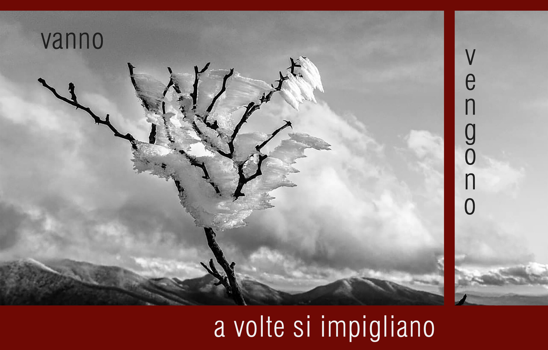 logo-immagine.jpeg logo-immagine.jpeg