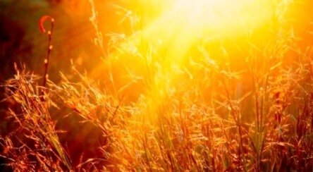 natura , la forza del sole