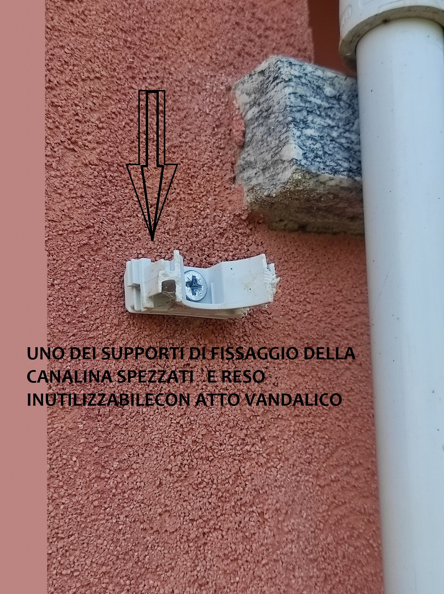 1786552951884.jpeg vandalici atti codardi
