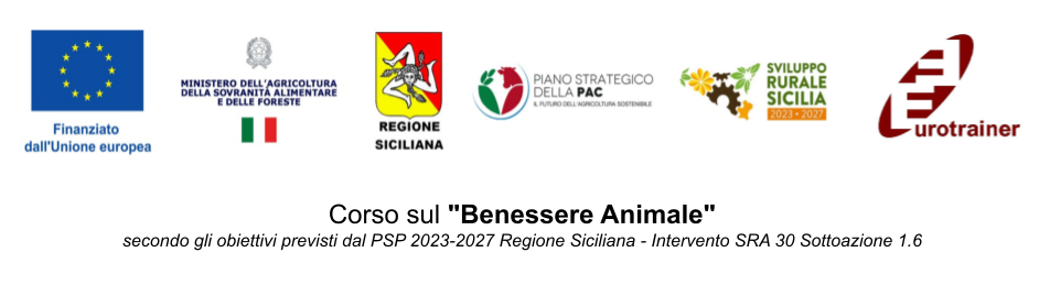 51c20ef6-9235-4c95-b9b7-a92e3e49672a 51c20ef6-9235-4c95-b9b7-a92e3e49672a