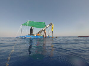 cadde170-2c5a-4970-9cd0-9b9181cf3f7a cadde170-2c5a-4970-9cd0-9b9181cf3f7a