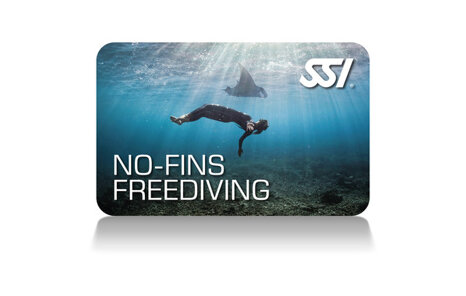 8ef3a911-7f44-493f-94a4-9242ed798470 8ef3a911-7f44-493f-94a4-9242ed798470