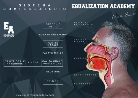 32a02eb1-6665-412c-9ccc-e2ebb521bbe2 32a02eb1-6665-412c-9ccc-e2ebb521bbe2