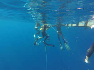 54415329-2254-4487-986f-8763dd75ffff 54415329-2254-4487-986f-8763dd75ffff