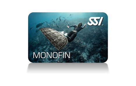 21ddd4b9-2245-42c1-878a-3e15c3a180dd 21ddd4b9-2245-42c1-878a-3e15c3a180dd