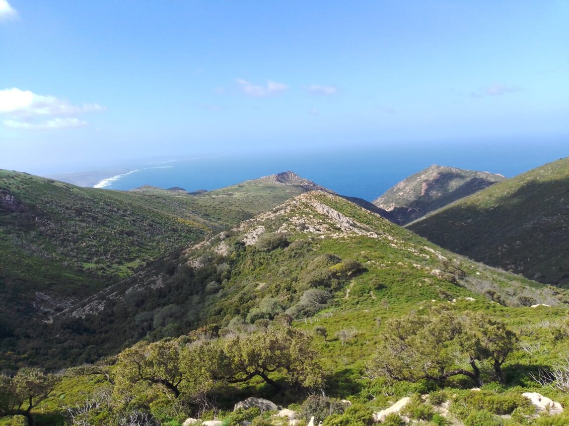 6e6fa2db-0763-419d-8e2b-827f2db2c694