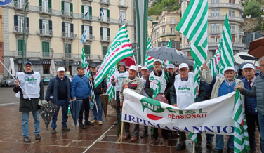 55a658bc-99bc-468f-adb3-c74caaf9df75