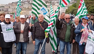 ffc90b44-c93f-4cc7-997c-6a9b95bdfdc7