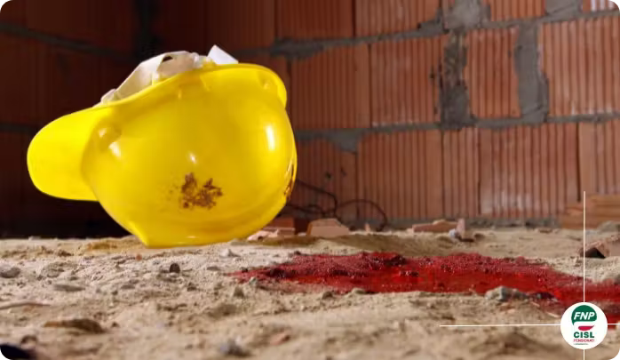 566a5972-f0b7-46dd-bb9e-3119a4fac97b