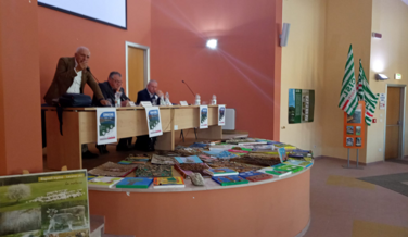 962fcc15-dbc3-4a2b-804f-8858d7bbcbc1