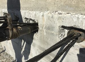 img_5921.jpeg