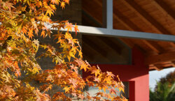 6171722f-4fa2-4dd1-8108-82ce1f3798ef