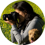 a57269ff-d53e-4793-973a-c5162bdea00e