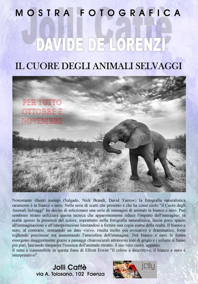 01a22d03-1bdf-4b4b-a28a-022e8e2af34a