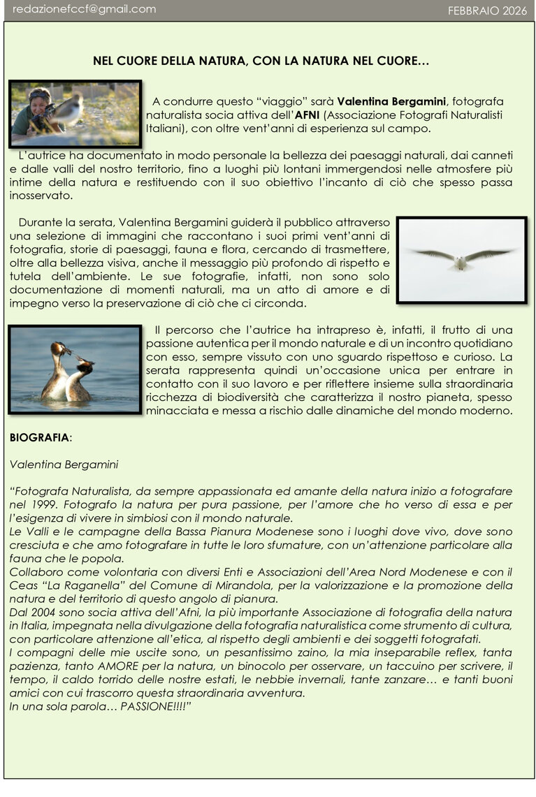 6 - notiziario febbraio 2026-4.jpeg