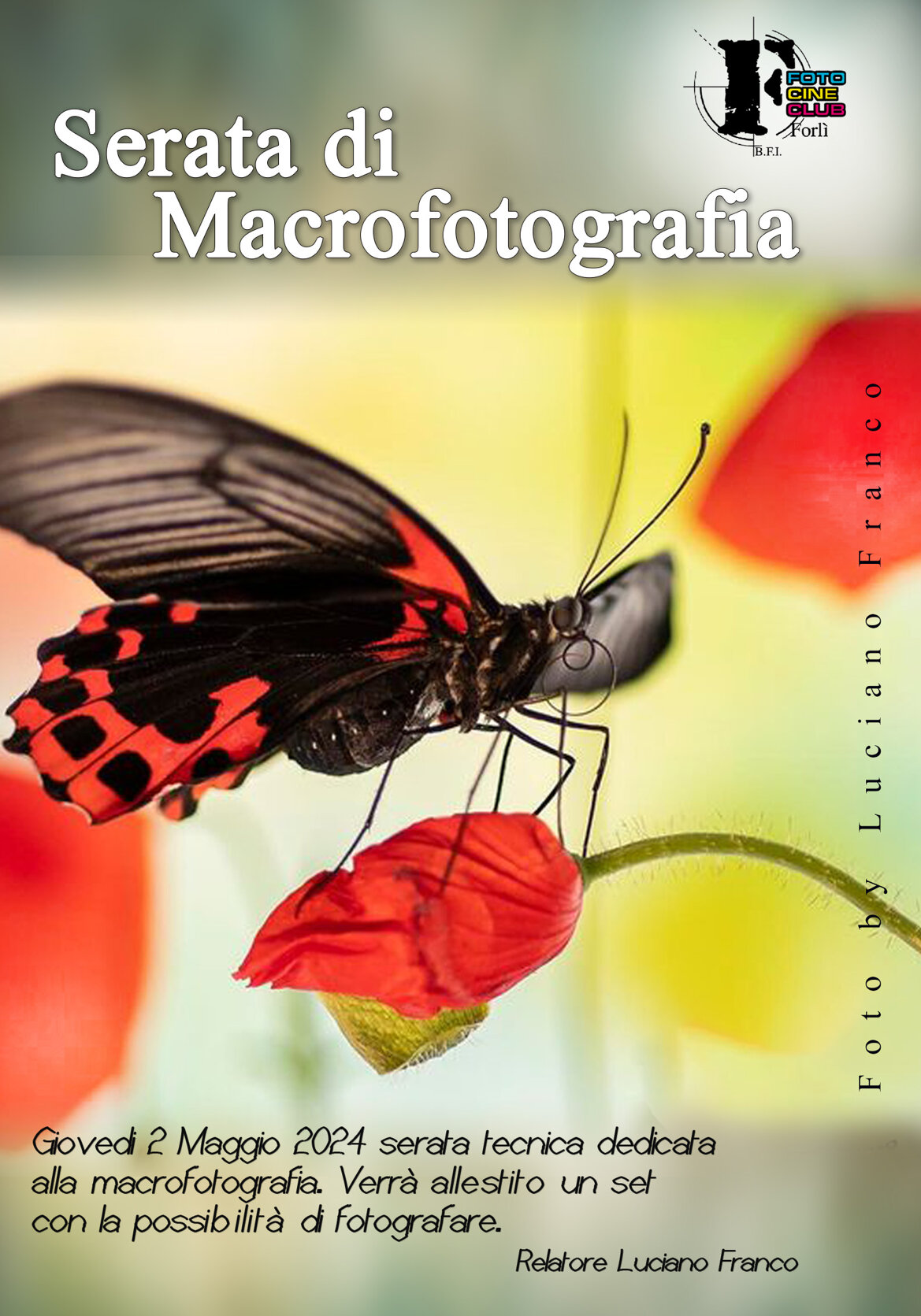 e316ae24-03cb-49a1-8497-6a87b93ccc2a e316ae24-03cb-49a1-8497-6a87b93ccc2a