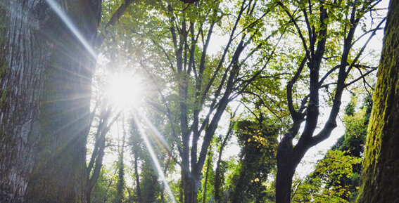 1709089b-a4a7-412a-aaee-1c60af32403b