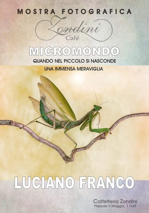 1affb8dc-58a1-4ba9-8cb4-9340e70a2d23