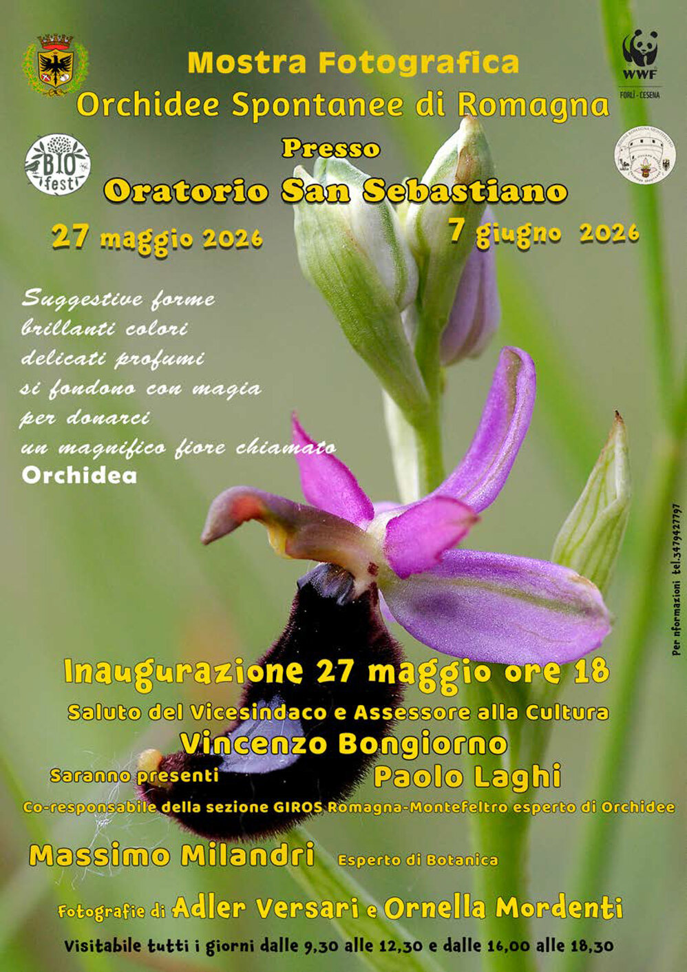 volantino mostra.jpeg