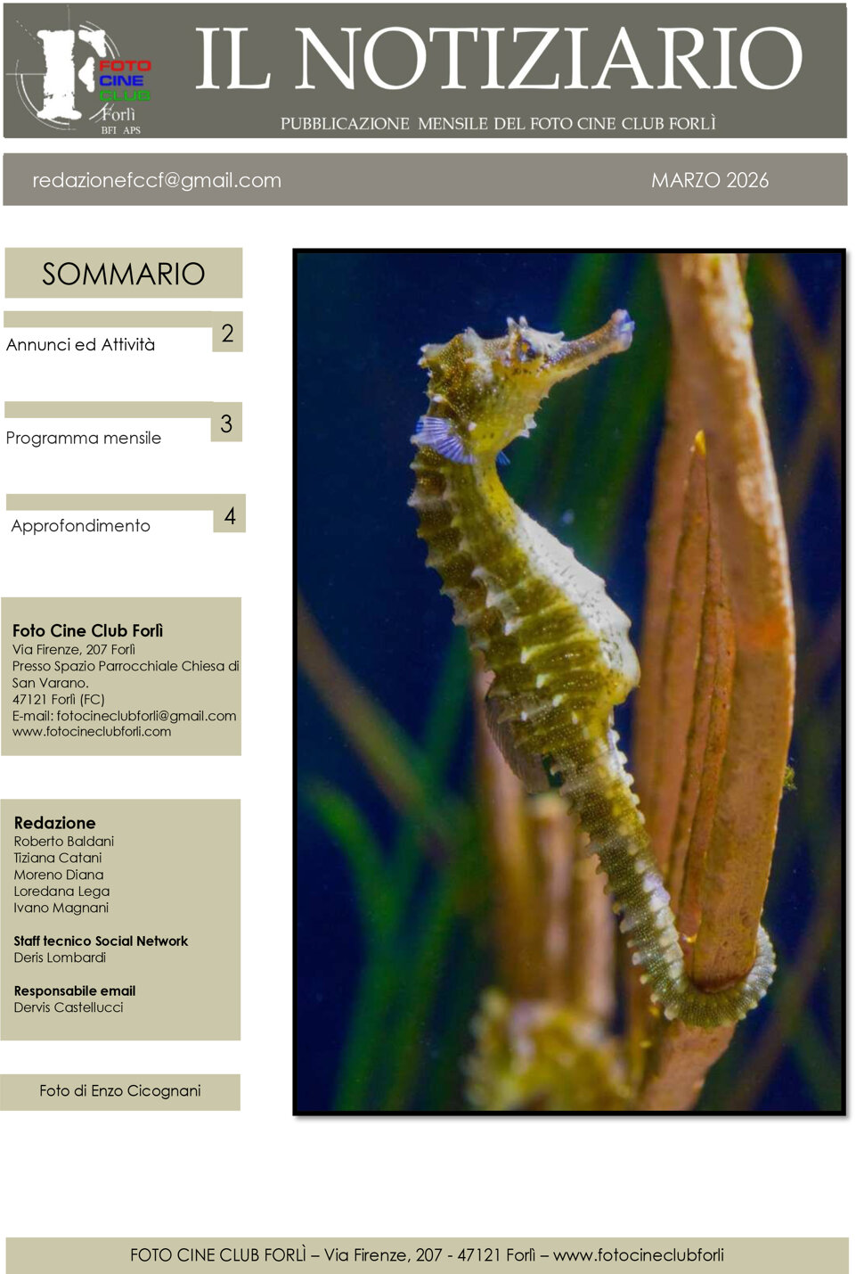 7 - notiziario marzo 2026-1.jpeg 7 - notiziario marzo 2026-1.jpeg