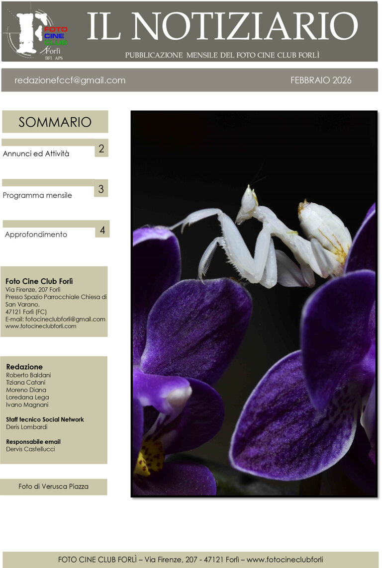6 - notiziario febbraio 2026-1.jpeg
