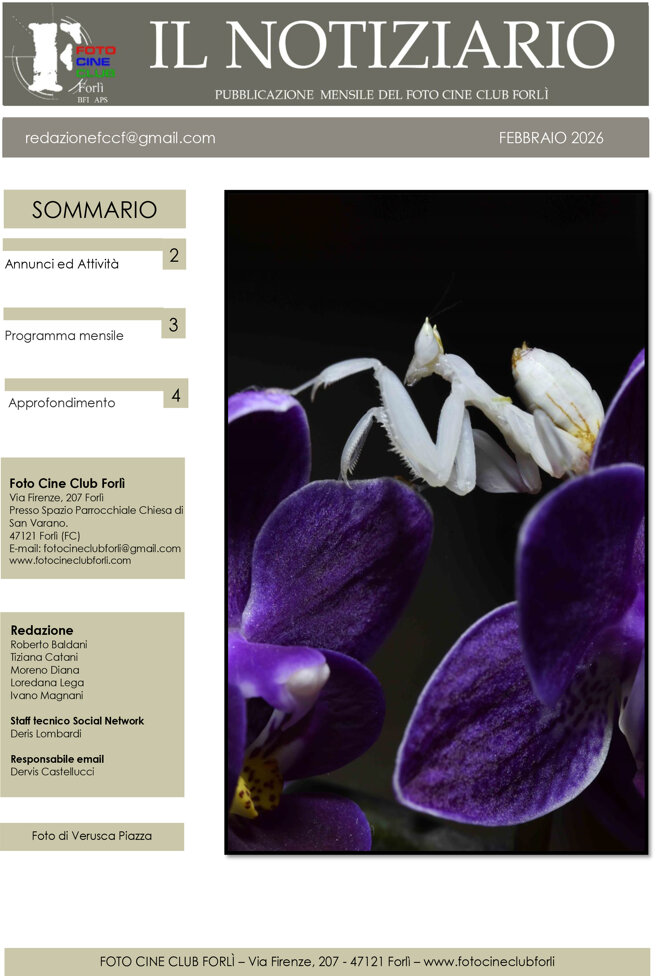 6 - notiziario febbraio 2026-1.jpeg