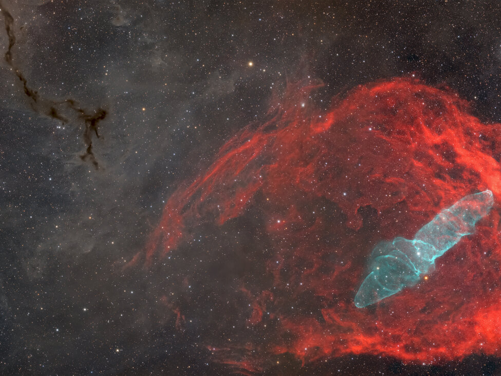 lorisferrini_nebulosa calamaro.jpeg