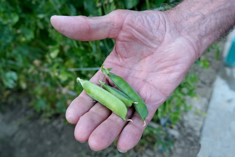 portfolio 3° patrizia casadei 05.jpeg