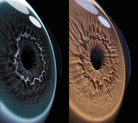 11a7d7cb-4dd7-4307-aa4b-907a1552e0ff