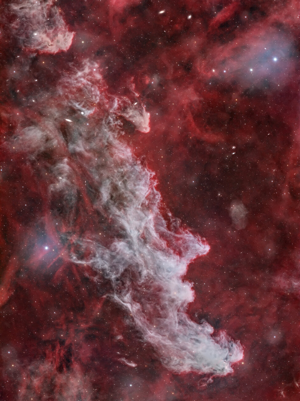 lorisferrini_nebulosa testa di strega.jpeg