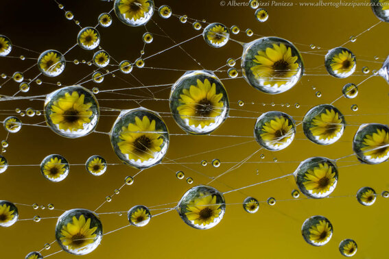 f79f346d-2eb7-4bd4-9ada-5b10621d58cf