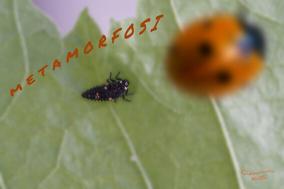 11e1a3af-3021-407f-9bc5-231008f95ea2