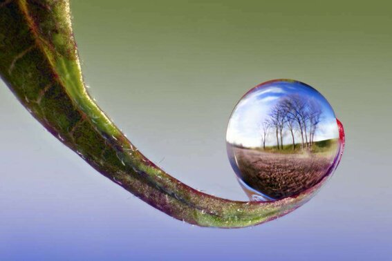 275799cb-8a52-46f0-a0ac-9ae69cfc9b58