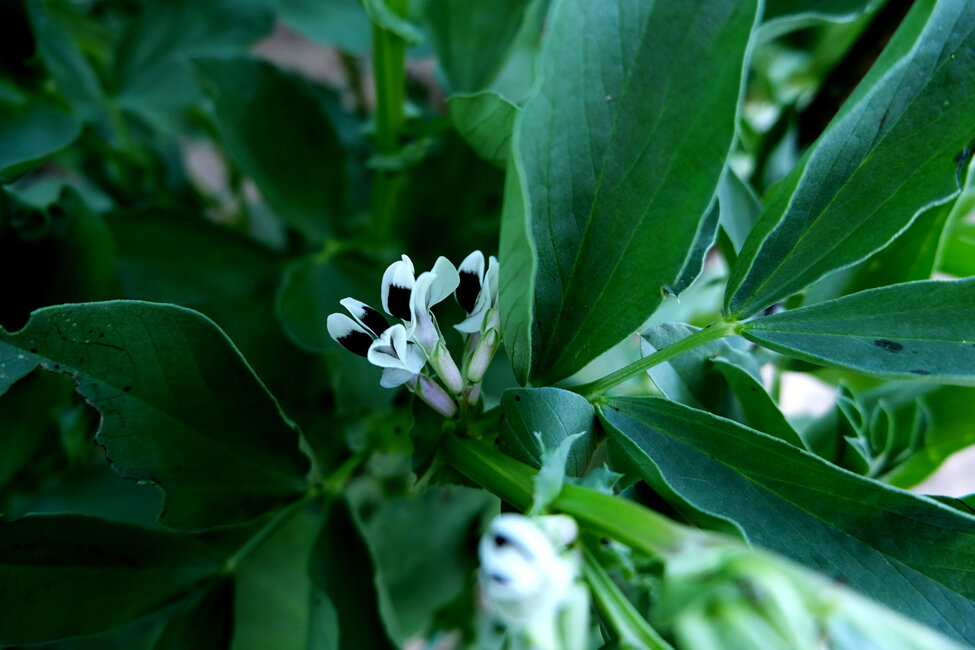 portfolio 3° patrizia casadei 02.jpeg