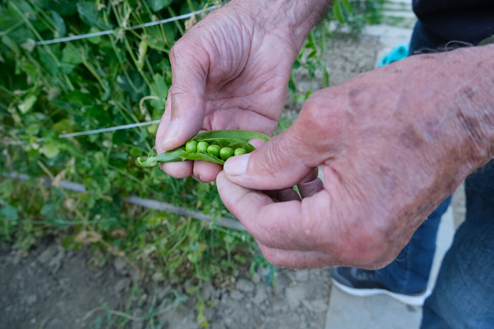 portfolio 3° patrizia casadei 06.jpeg