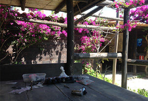 03296062-8fe5-4df3-8337-c6b7fa97a650