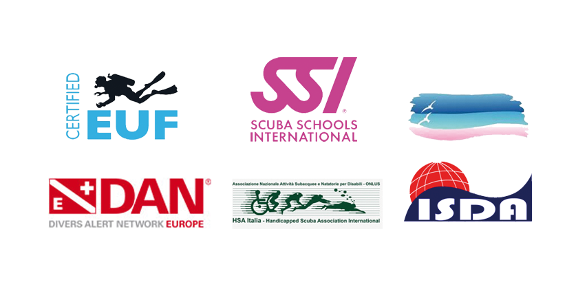 793a1be5-3f22-45d9-be75-148aee497ce2