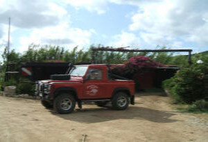 3aa929d3-fa3e-41c5-9895-bb366c92980f 3aa929d3-fa3e-41c5-9895-bb366c92980f