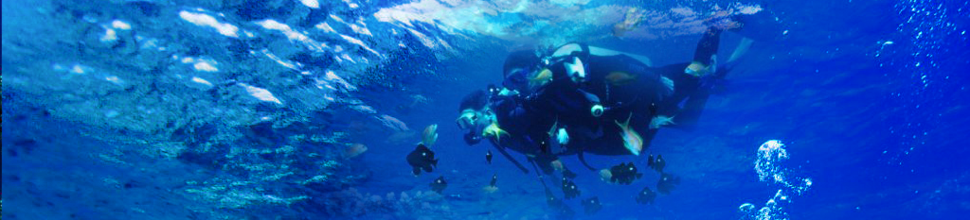 eb670b06-f128-441c-bbb2-b50275e48797 eb670b06-f128-441c-bbb2-b50275e48797