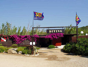 60b6a76f-f14d-42e8-b253-1f1f66717535 60b6a76f-f14d-42e8-b253-1f1f66717535